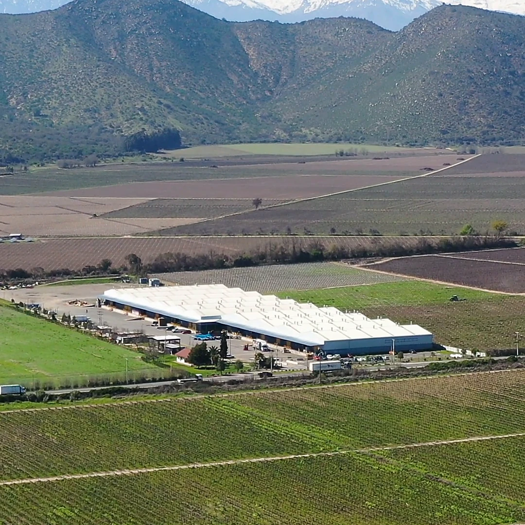 Fotografía aérea de las bodegas de Maipo Bodegas entre viñedos, con la cordillera al fondo